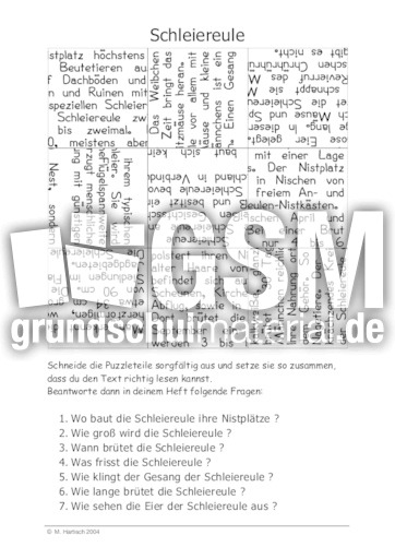 Schleiereule.pdf